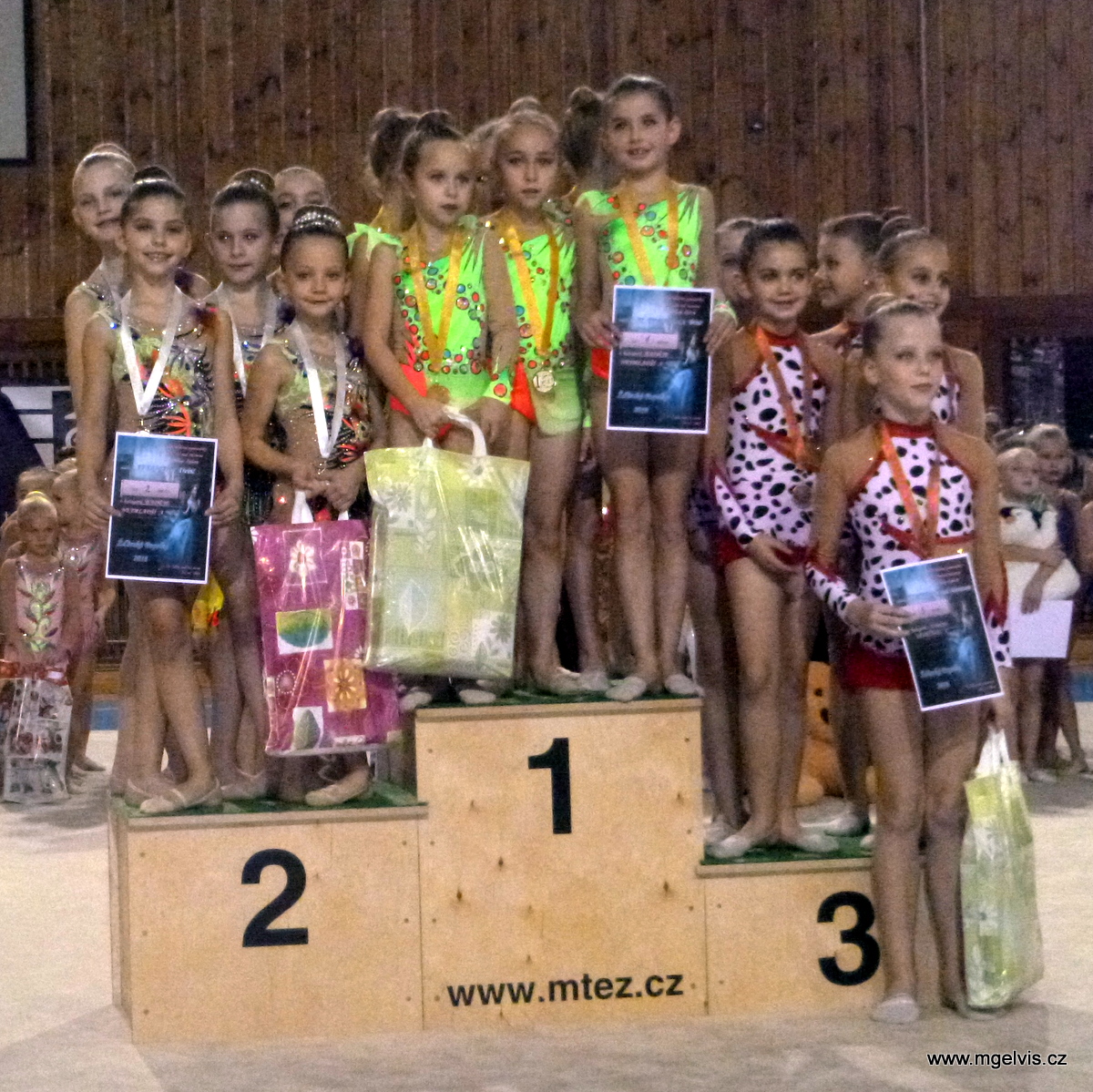Burešová Ema, Maternová Viktórie, Pokorná Michaela, Střechová Antónie, Veselá Julie